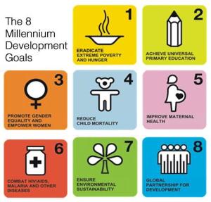 United Nations Millennium Development Goals.
