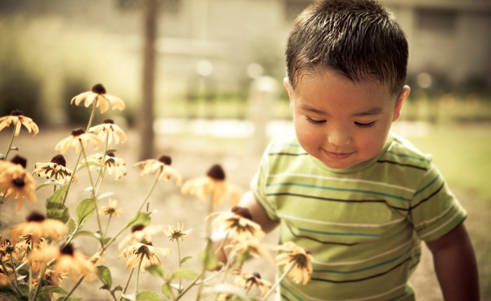 Transforming Children’s Chances through Pre-Primary&nbsp;Education